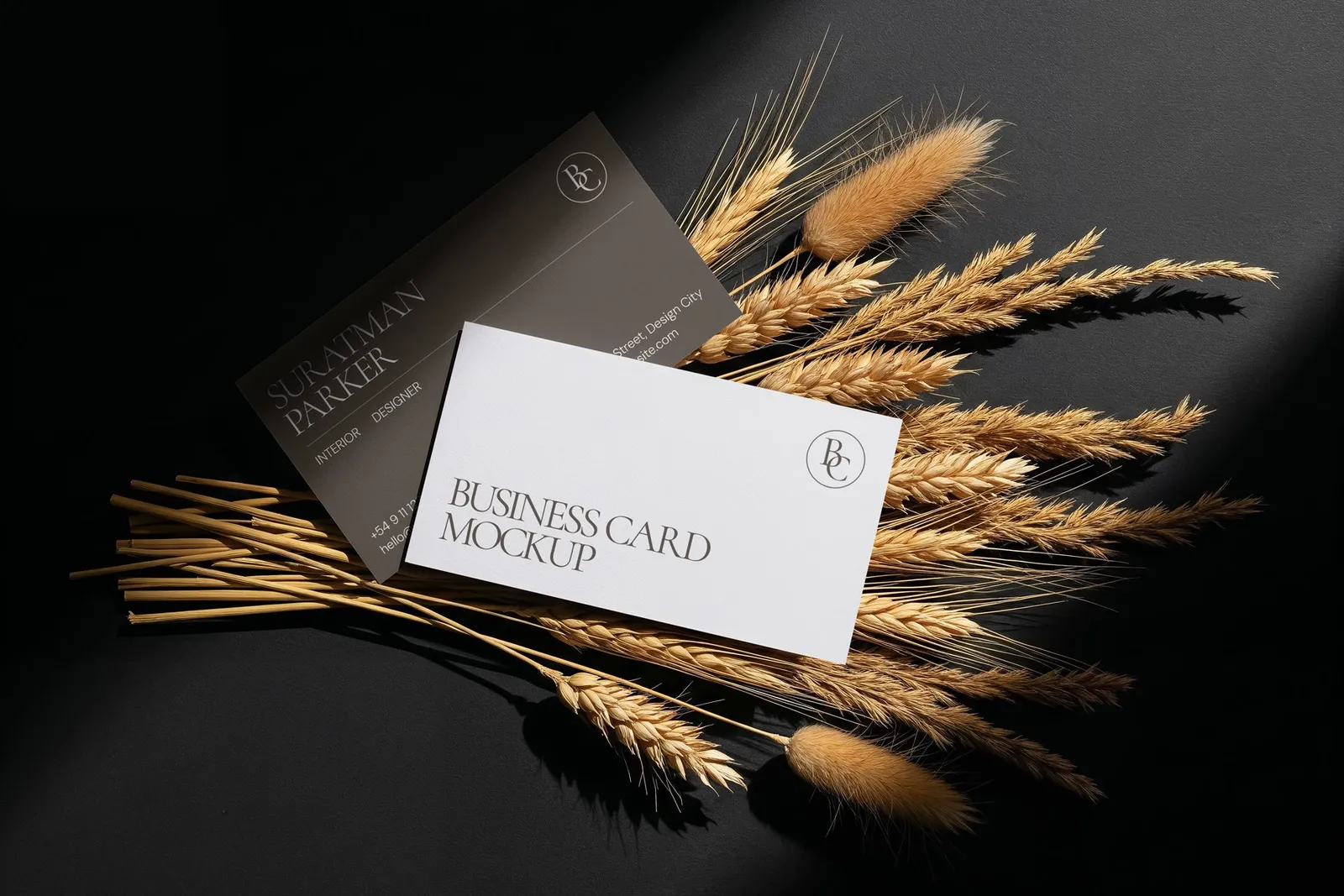Brand Identity Design